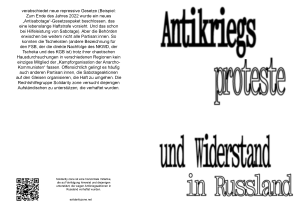 s-z-solidarity-zone-antikriegs-proteste-und-widers-3.pdf